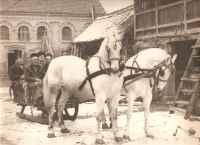 1964. voznja u karucama.jpg